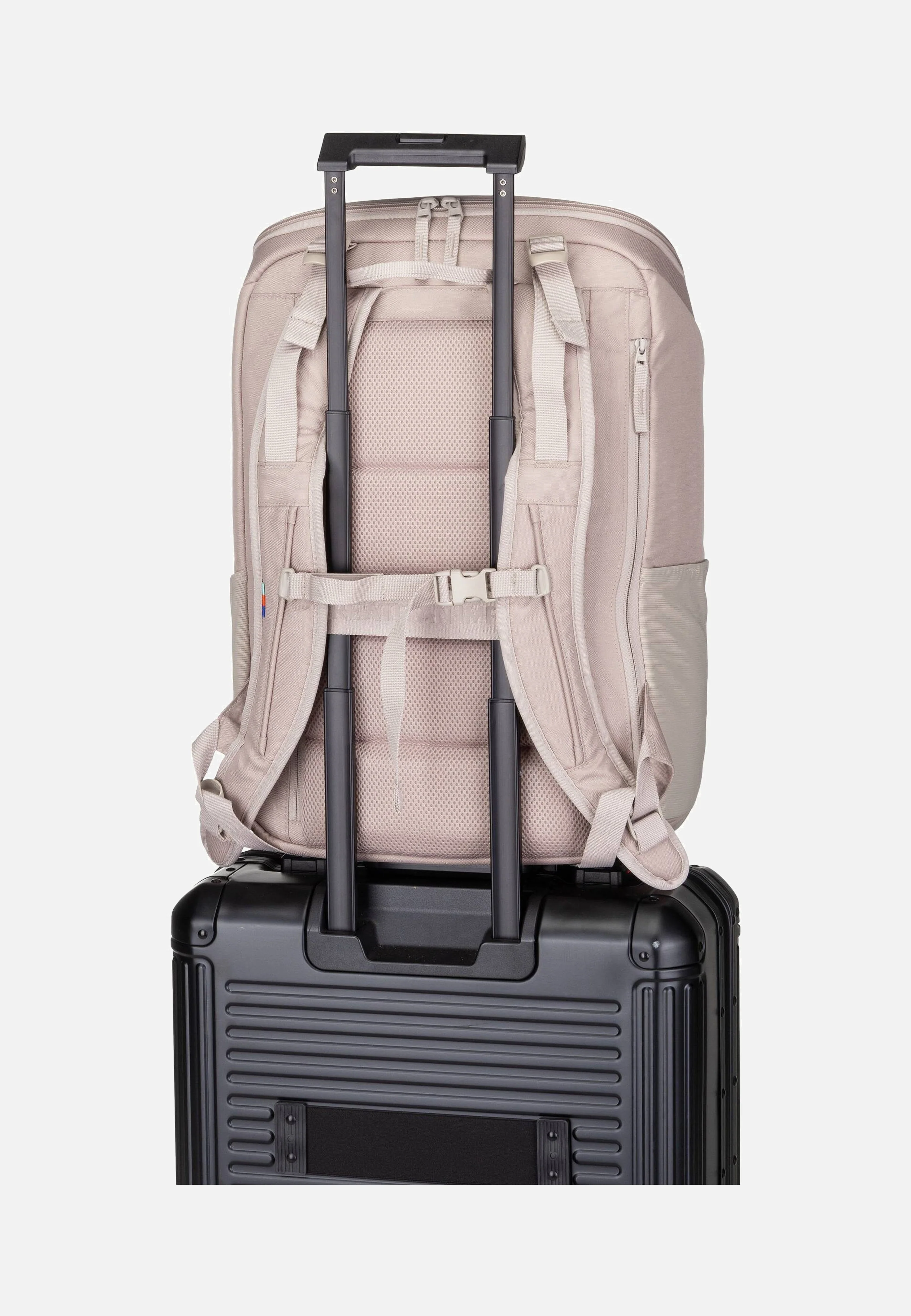 Pro Pack Travel Scallop - Reiserucksack - Image 10