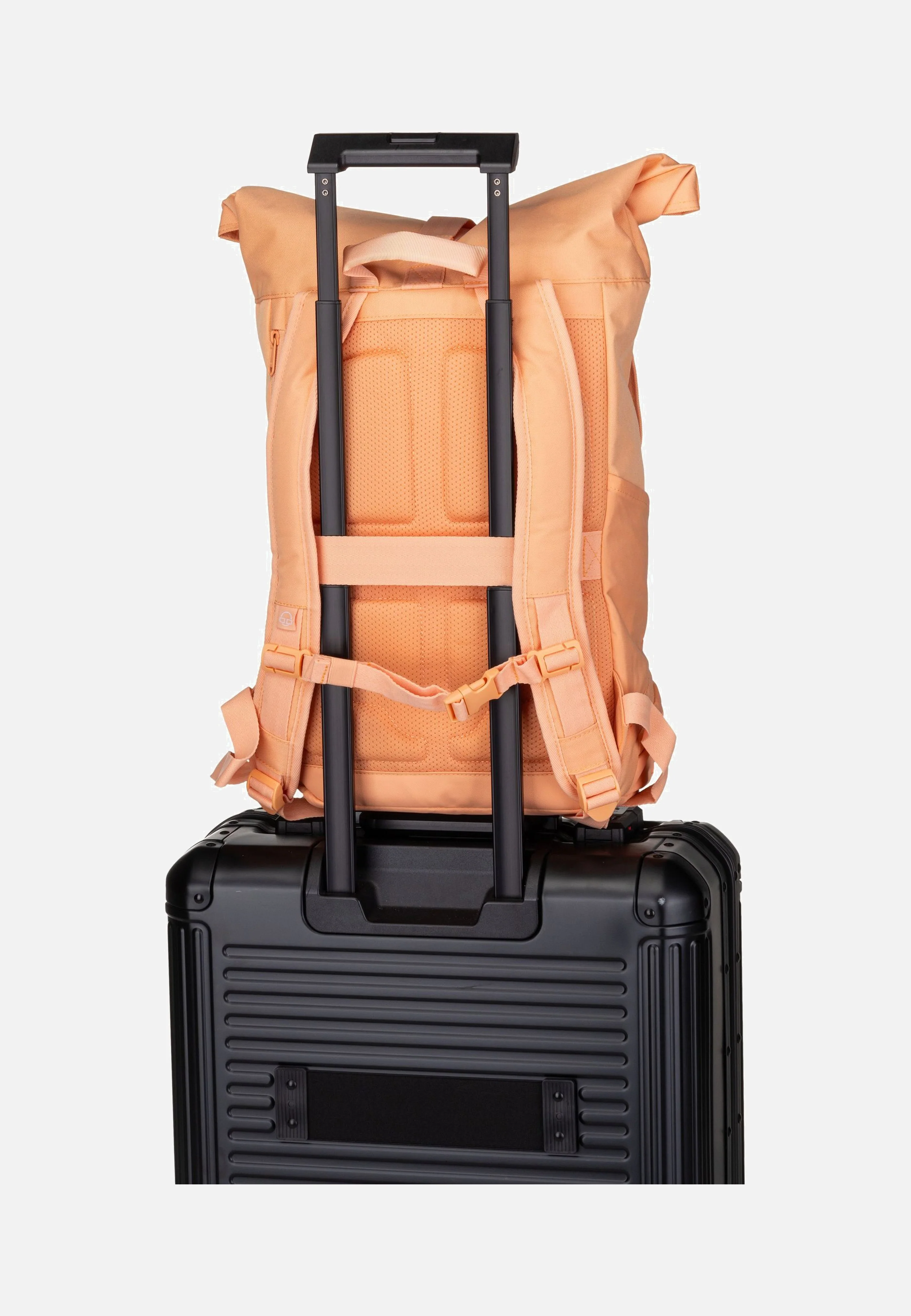 Allen Medium Peach - Rolltop Rucksack - Image 6