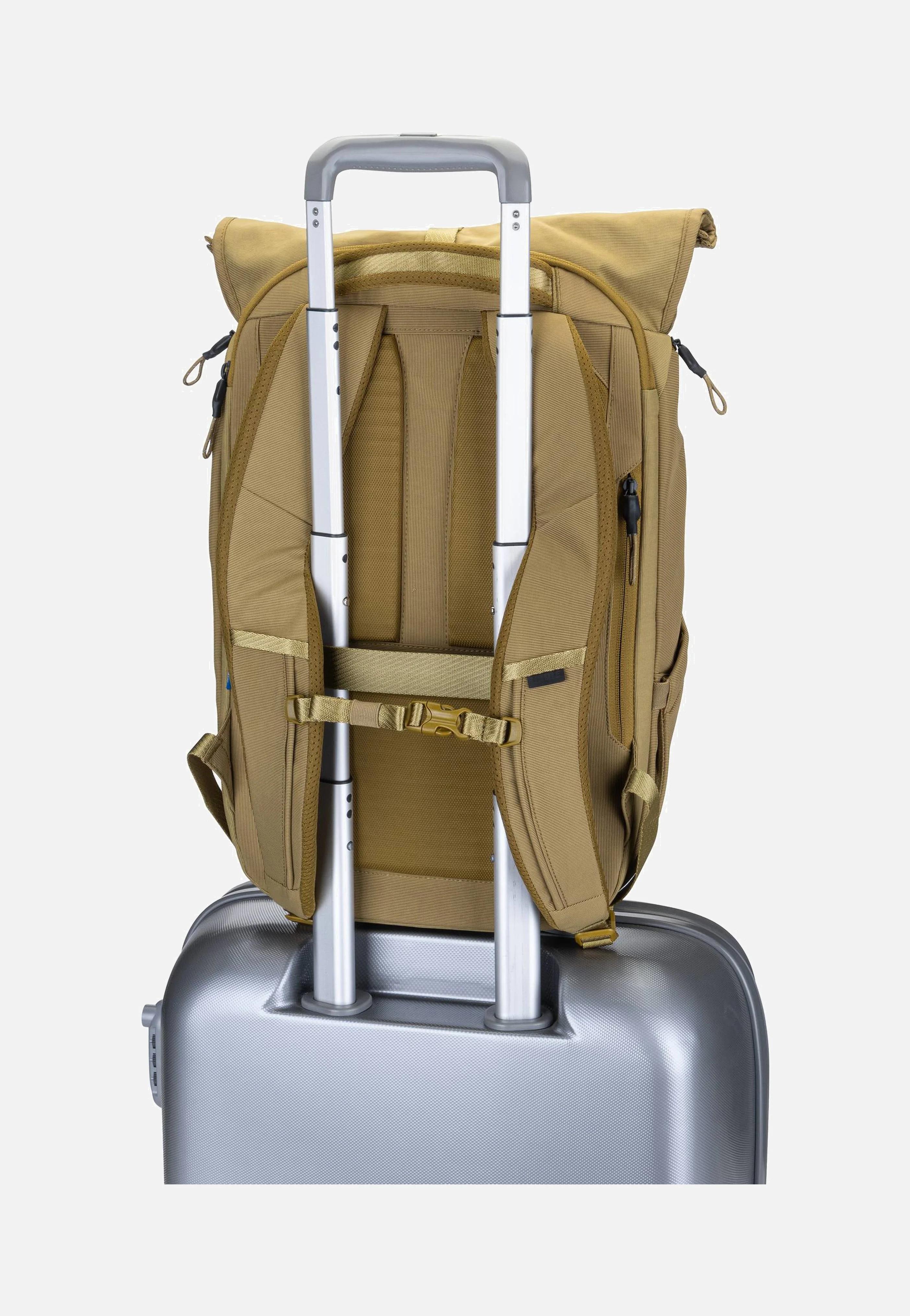 Paramount 3 24L Nutria - Rolltop Rucksack - Image 7