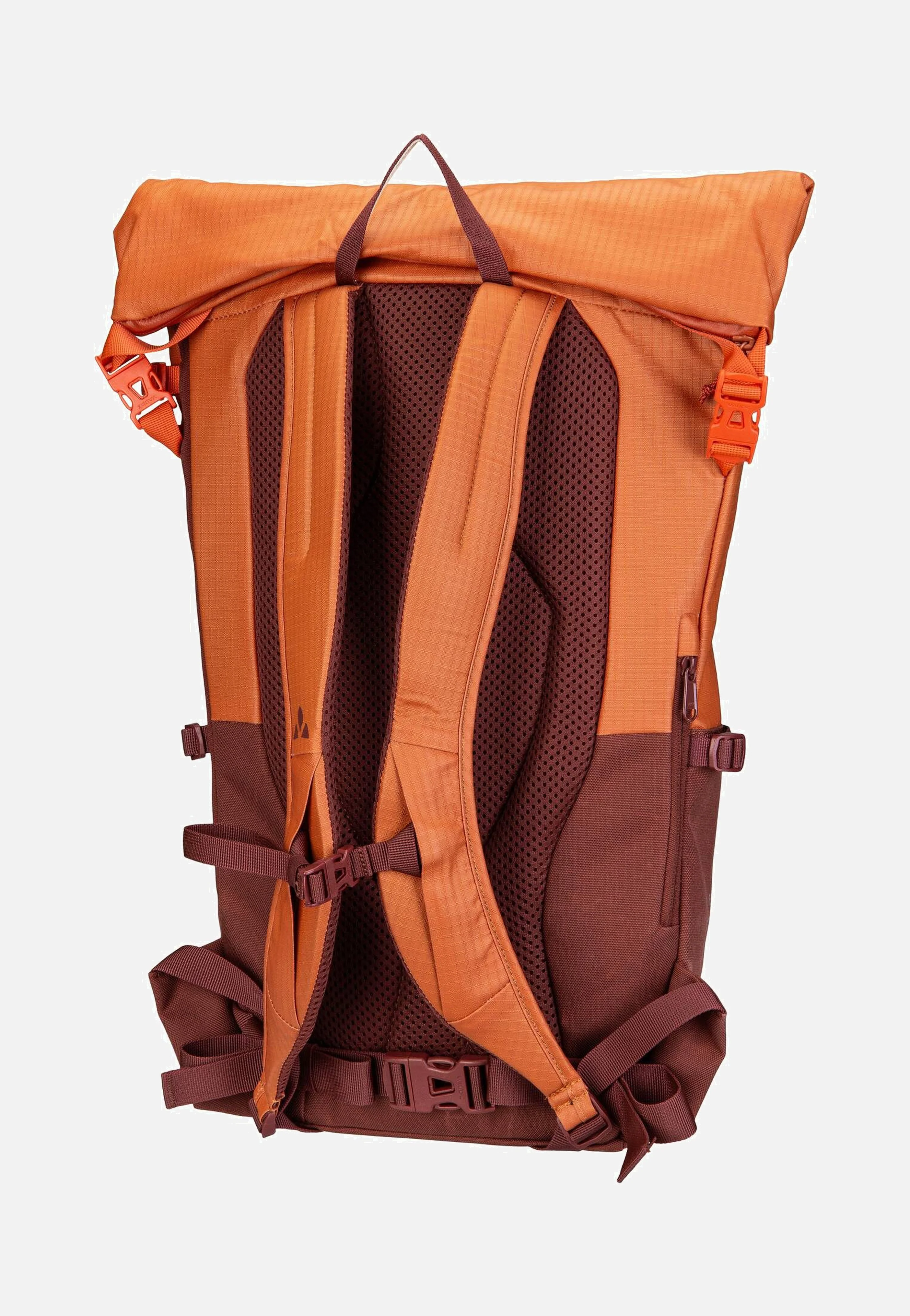CityGo 23 II Buckeye - Rolltop Rucksack - Image 2